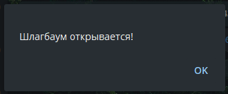 Рис. 2 Результат запроса открытия шлагбаума